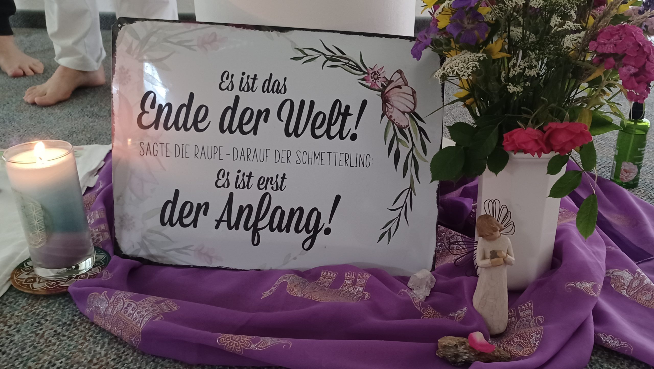schild mit schmetterling schild mit schmetterling