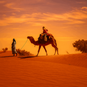 chatgpt image 11. okt. 2025, 16 10 48